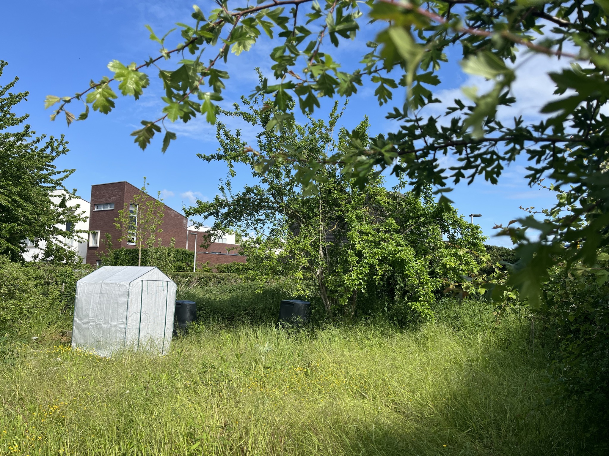 The little greenhouse that could fly