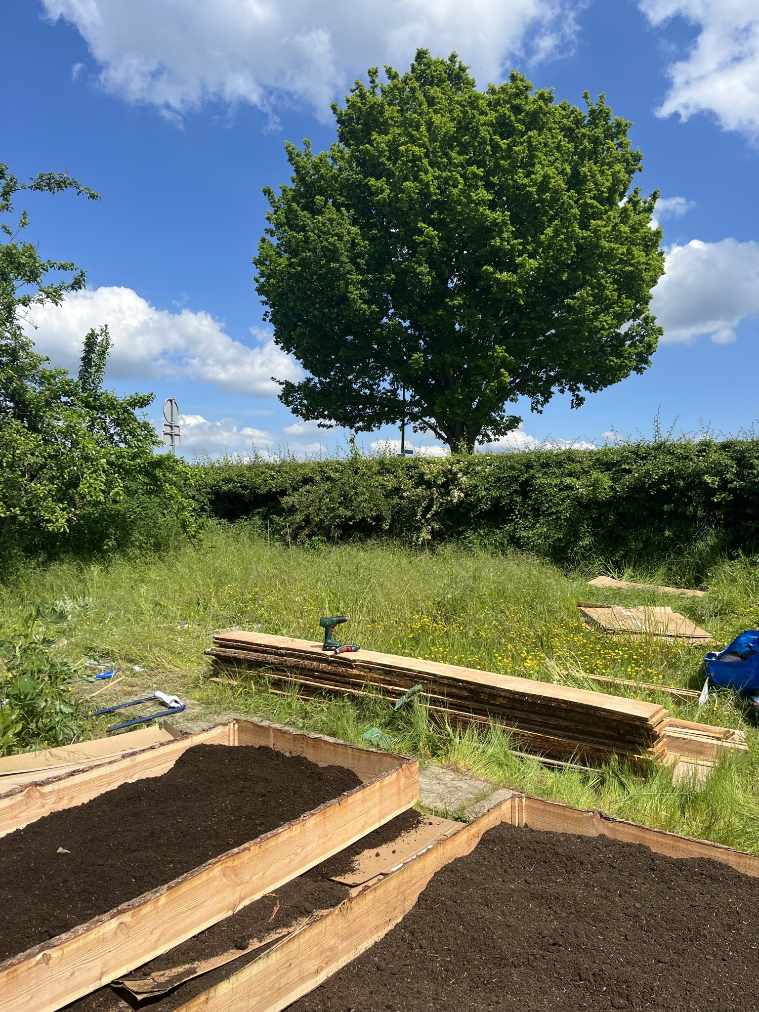 The (mis)adventure of setting up our allotment